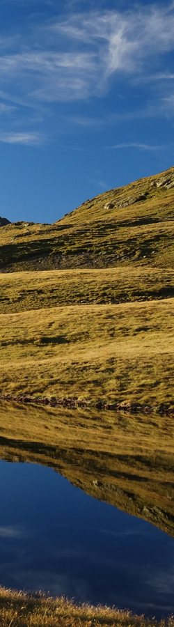 4mal4 350x900